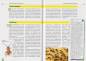 Preview: Neotropische Taggeckos